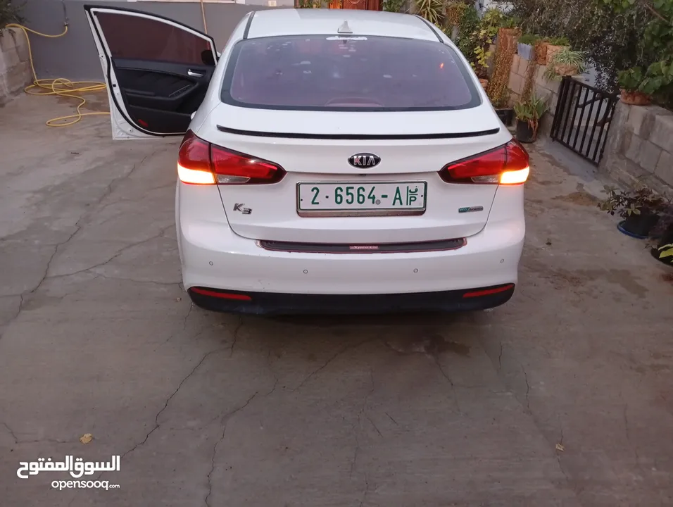 طمون انس عوده