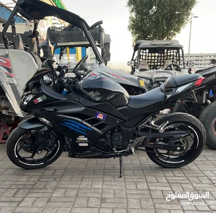 Kawasaki Ninja 300