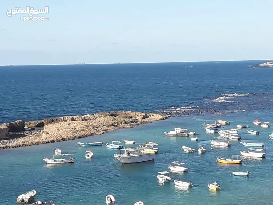 من المالك ميامي ع البحر مباشره فيو اسطوري للبحر مطبخ كامل وسط جميع الخدمات والمطاعم والكليات