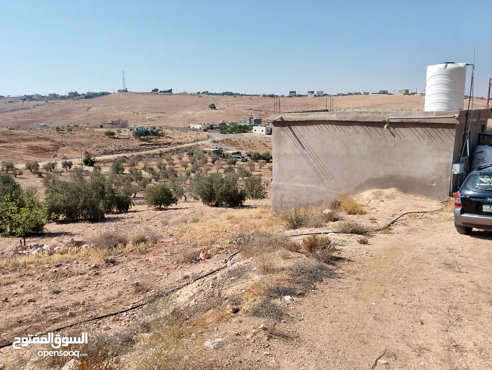 لقطة ؛ أرض زراعية مع غرفة على حدود الطفيلة والكرك ، تصلح للاستثمار كمزرعة سياحية أو منتجع سياحي