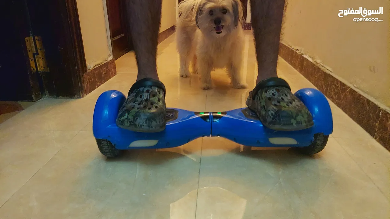 IO HAWK Hoverboard made in Germany - Used  هوفربورد IO HAWK مصنوع في ألمانيا - مستعمل