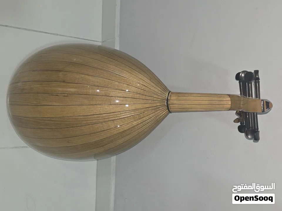 عود مصري للبيع