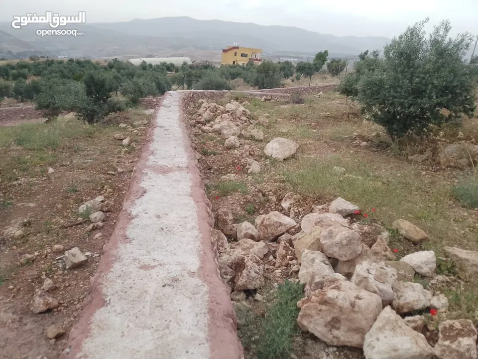 أرض ذات إطلالة خلابة في أجمل مناطق جرش