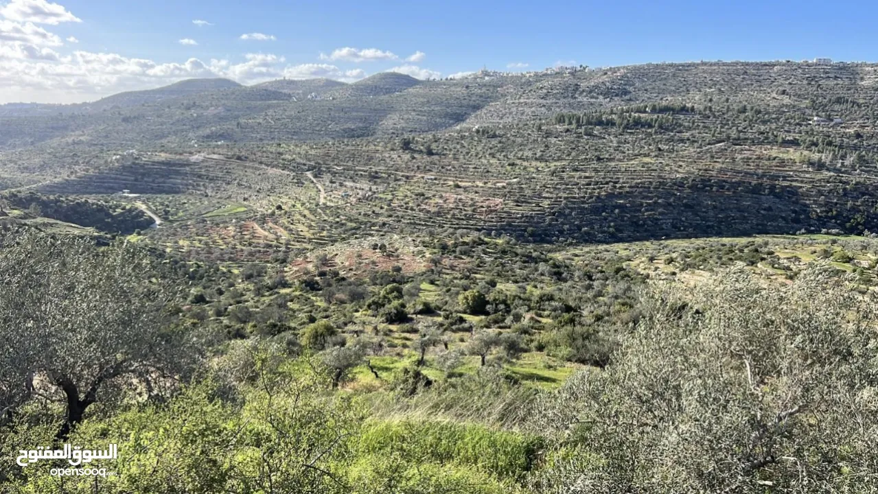 ارض استثمارية للييع