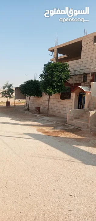 عقارين سكني