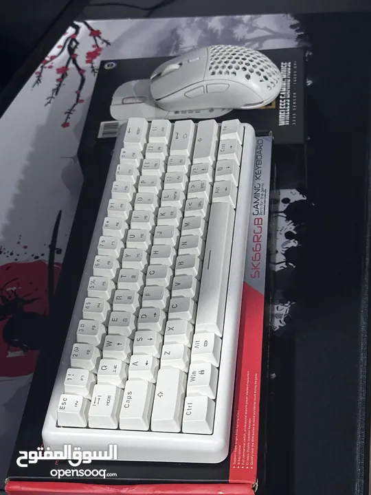 DEVO keyboard and mouse