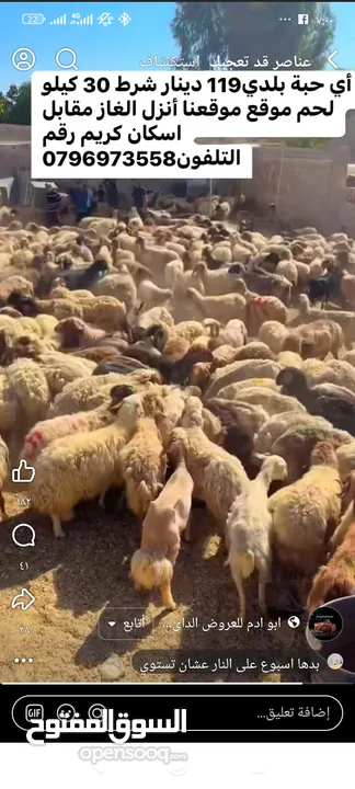 على استعداد ذبح الأضاحي في بيتك في الزرقاء بعد الصلاه محجوز