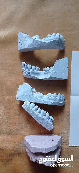 اسنان و نماذج اسنان ومواد طب اسنان (( مجموعة 3 ))