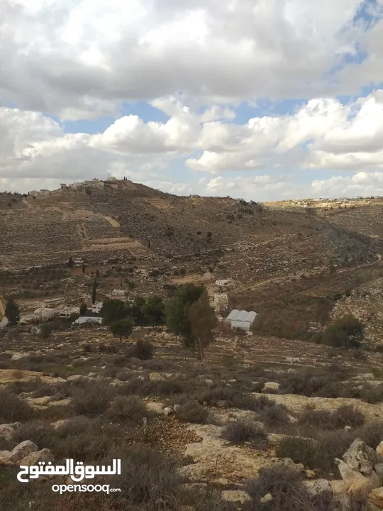 دورا جبل ابو عشرة