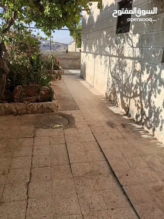 شقه للايجار