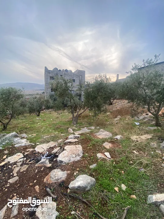 ارض للبيع نابلس_طلوزه