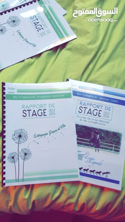 كتابة تقارير (rapport de stage) بجودة واحترافية