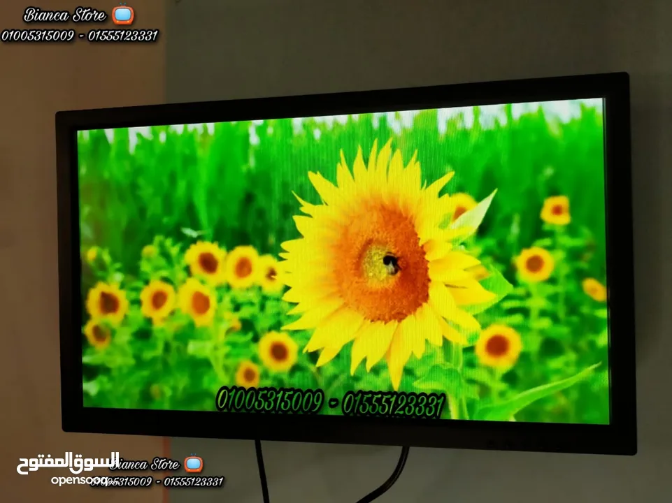 شاشة 24 بوصة LED FUll HD IPS معاها رسيفر و قاعدة مكتب و حامل حائط و ضمان سنة