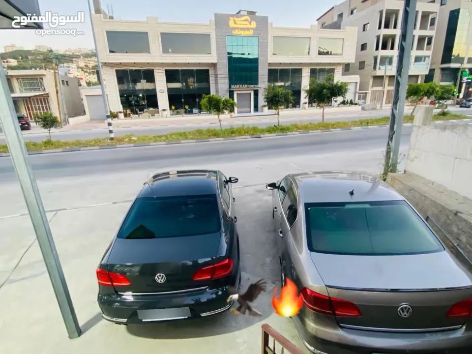 فلكس فاجن - باسات