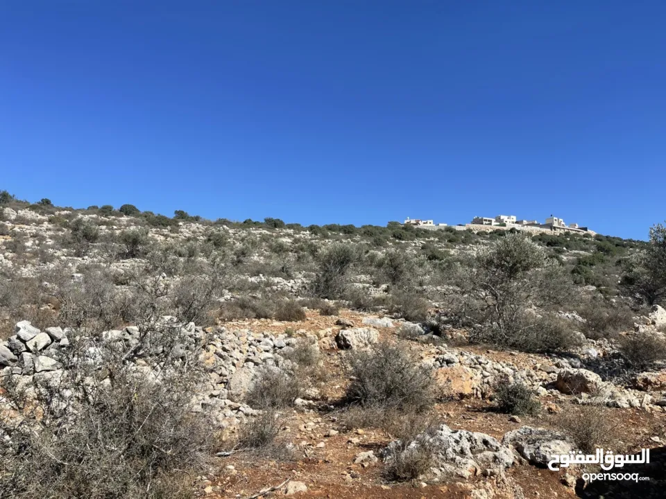 أراضي بمساحات متنوعه للبيع تصنيف A طابو فلسطيني