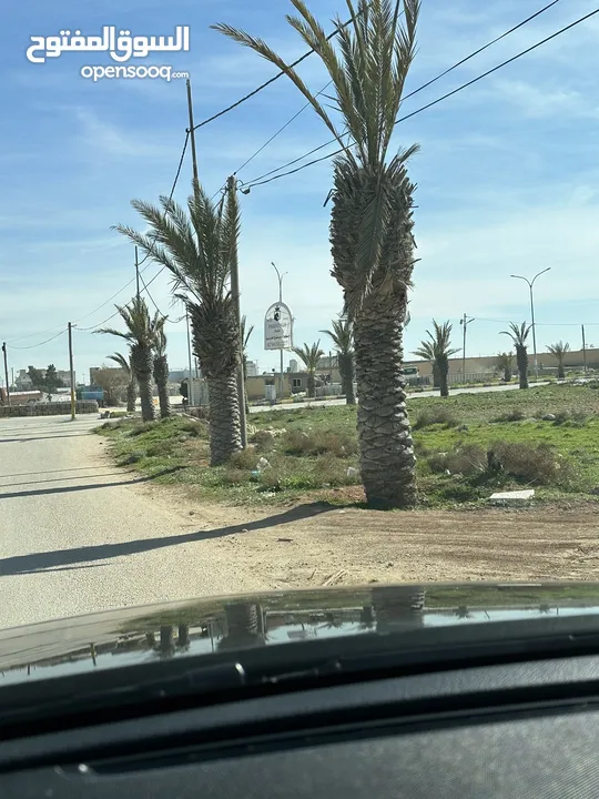 مطلوب قطع اراضي بالجيزه على شارع النخيل