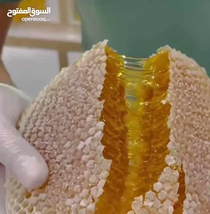 عسل طبيعي بلدي اصلي مضمون ومكفول 100٪؜ من مناحلنا