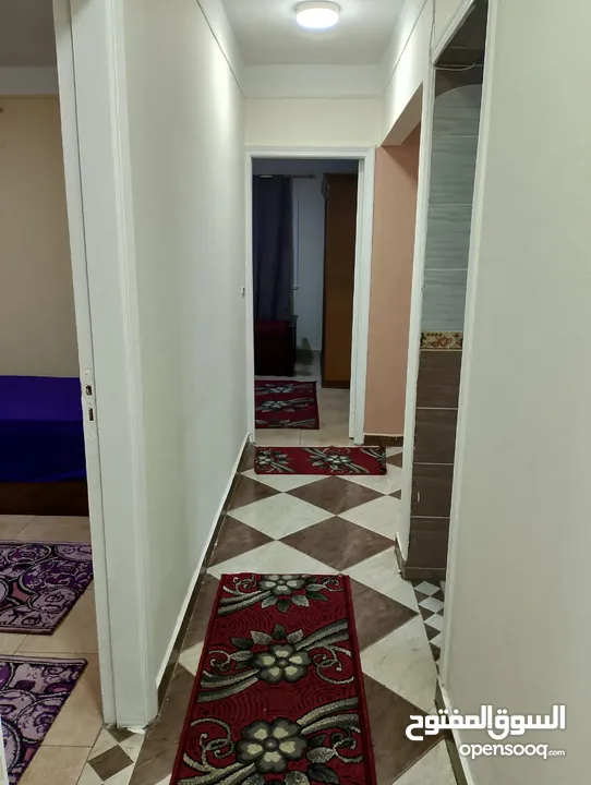 شقة فندقية مفروشة للإيجار اليومي بالإسكندرية