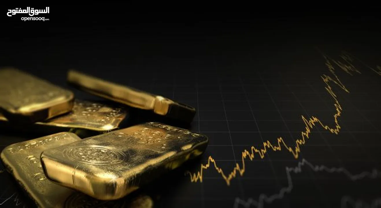 مطلوب ممول استثماري جاد لمشروع ناجح رأس المال بإسم الممول ، يوجد ضمانات