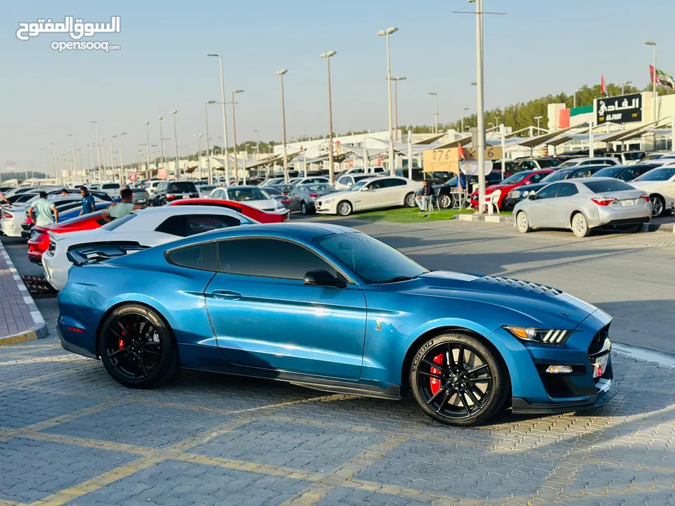FORD MUSTANG SHELBY GT500 / LOW KM