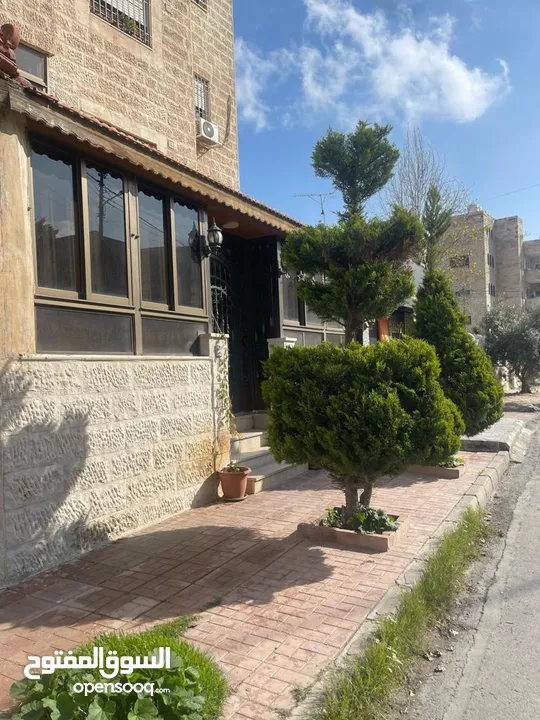 بسعر لقطه مع فرصه استثماريه  شقة ارضيه مع صالون ستاتي (ربوة عبدون )