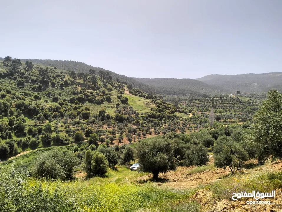 أرض مميزة جداً لعمل شاليه استثماري أو مزرعة خاصة أو مزرعة تجارية يوجد بها قناة ماء من المالك مباشرة