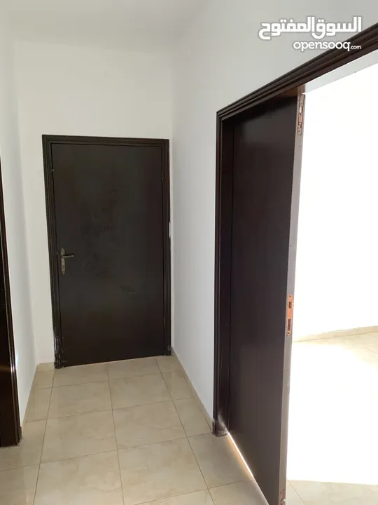 شقق للايجار