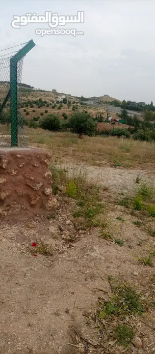 أرض ذات إطلالة خلابة في أجمل مناطق جرش