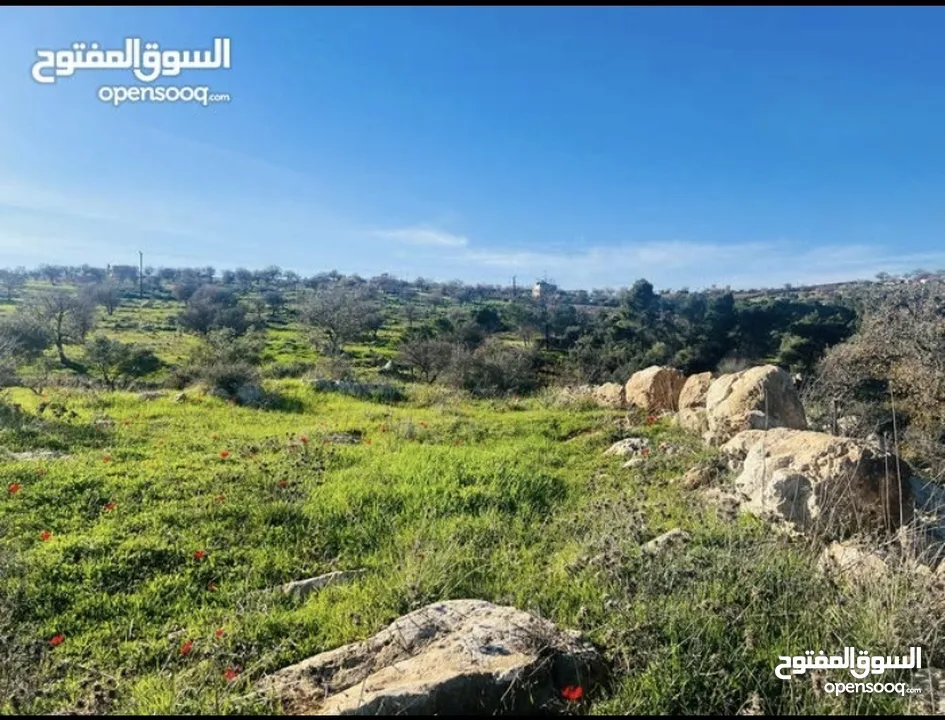 ارض زراعيه للبيع في اجمل مناطق العالوك