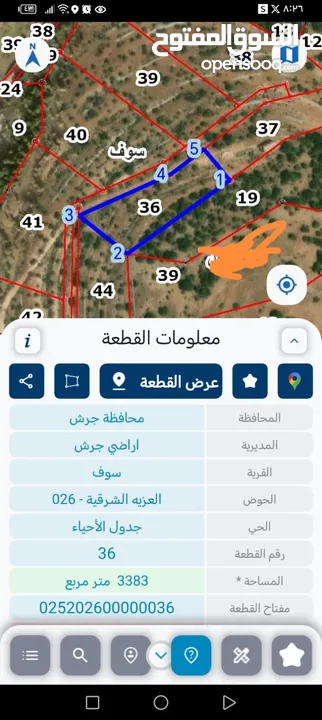 مزرعه زيتون للبيع في جرش سوف منطقه الظهره