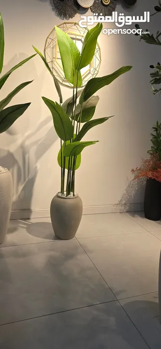 اجمل واحدث القواوبر