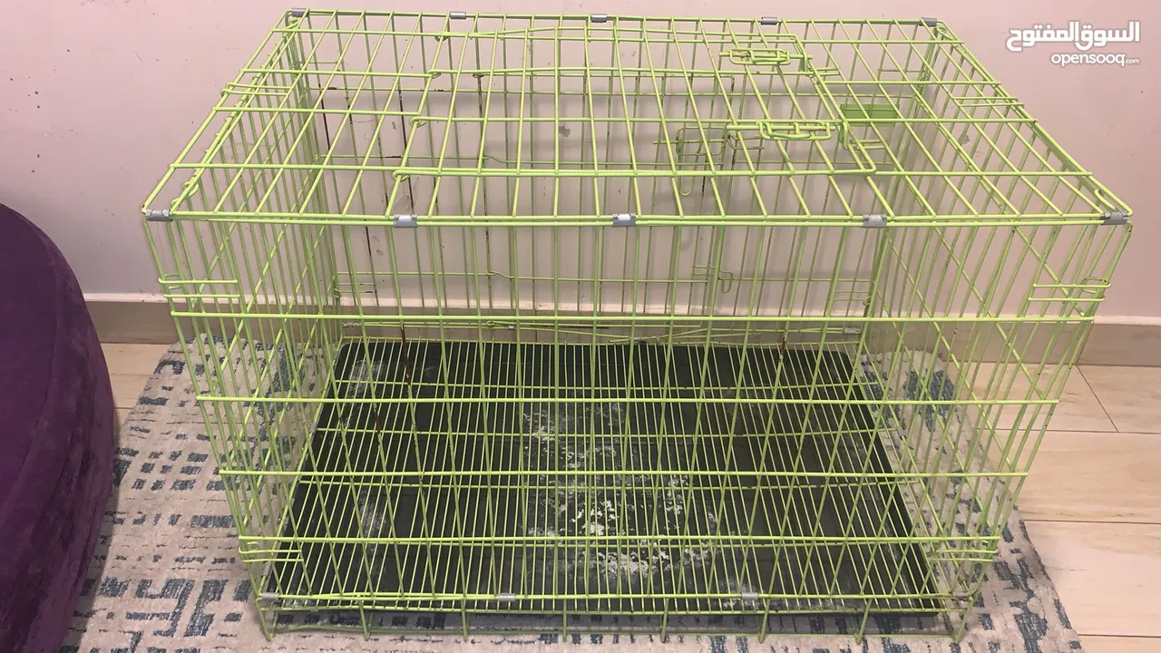 Dog cage, BHD 20