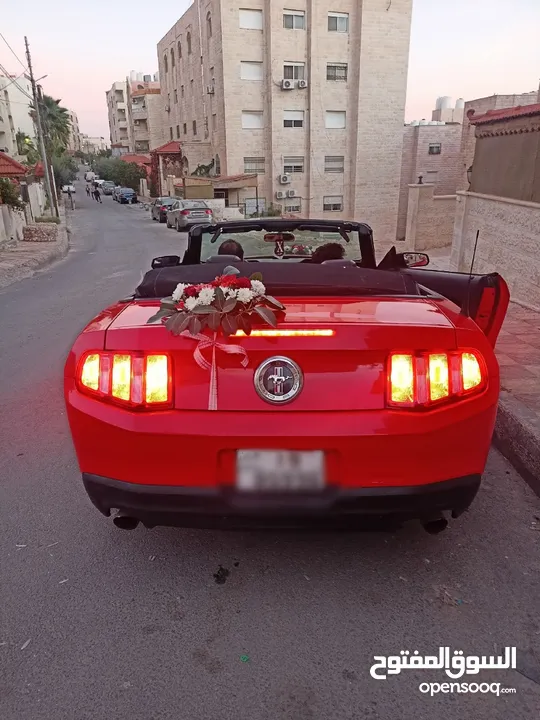فورد موستينج كشف للأعراس والمناسبات والايام