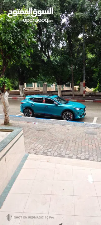 سيات كوبرا فورمينتور موديل 2020 سعر حرق بالسوق فل اضافات 310 حصان ستوك كامل PPF