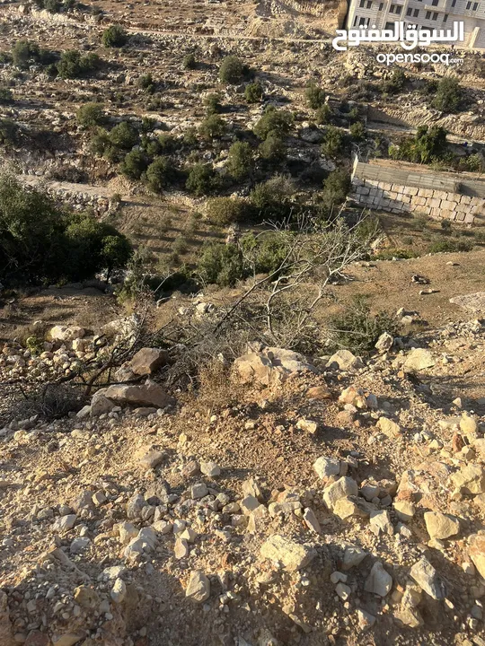 ارض واد الزرزير مطله وهادئه