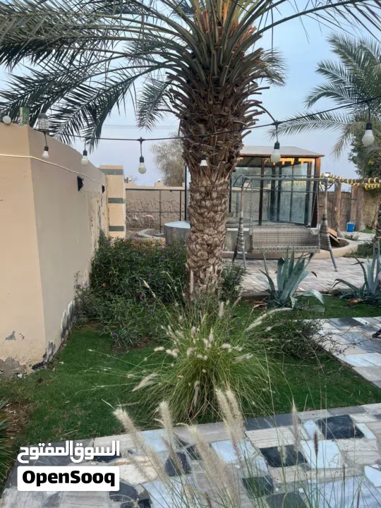 مزرعة جميله عائليه هادئه تصلح للحفلات للإيجار اليومي في رأس الخيمة