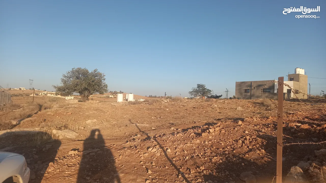 أرض داخل التنظيم للبيع
