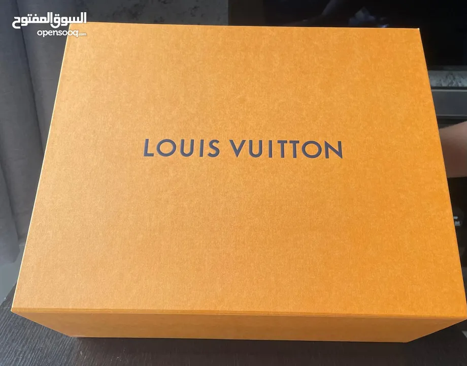 Brand New Unused Louis Vuitton Original Handbag with LV Box