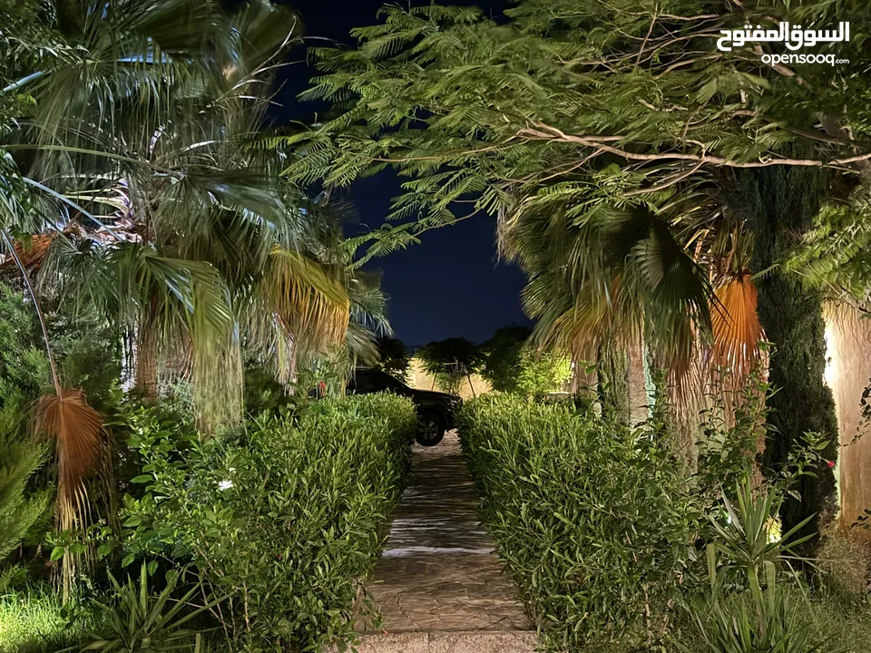 مزرعة نخيل مجهول مثمر ومنتج  + شاليه مودرن للبيع بأجمل مناطق الغور بالقرب من سد الكرامة 60 ك من عمان