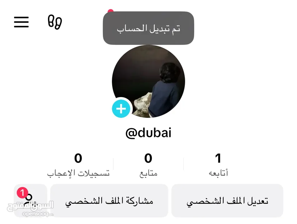 حسابات تيك توك TikTok accounts