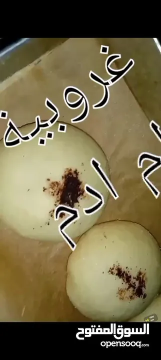 مشلوش بالرقاق