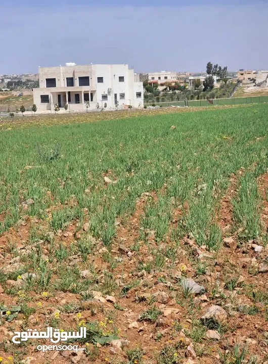 ارض للبيع رحاب طريق الزرقاء اربد جسر رحاب