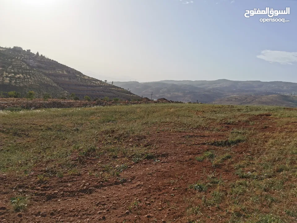 قطعة أرض مميزة للبيع في السلط الصبيحي قصيب مرتفعة ومطلة بسعر مغري