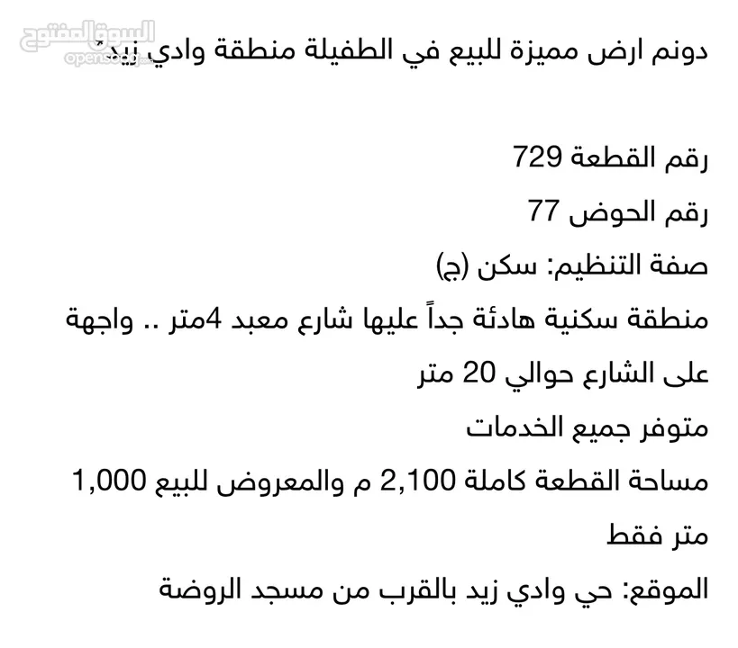 دونم ارض للبيع - الطفيلة - حي وادي زيد