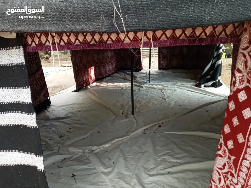 خيم شعر تراثيه  حجم 8م×4م يوجد أحجام أخرى حسب الطلب  الخيم جديده ولا يوجد  مستعمله
