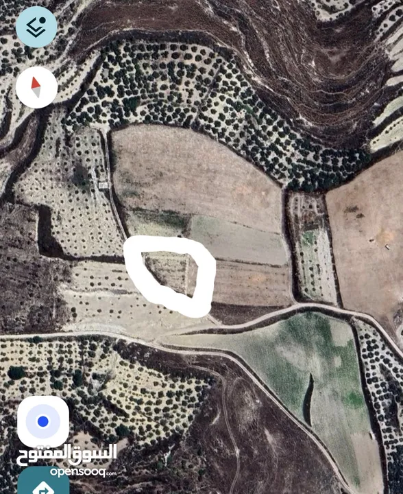 ارض للبيع اطلاله على الساحل الفلسطيني