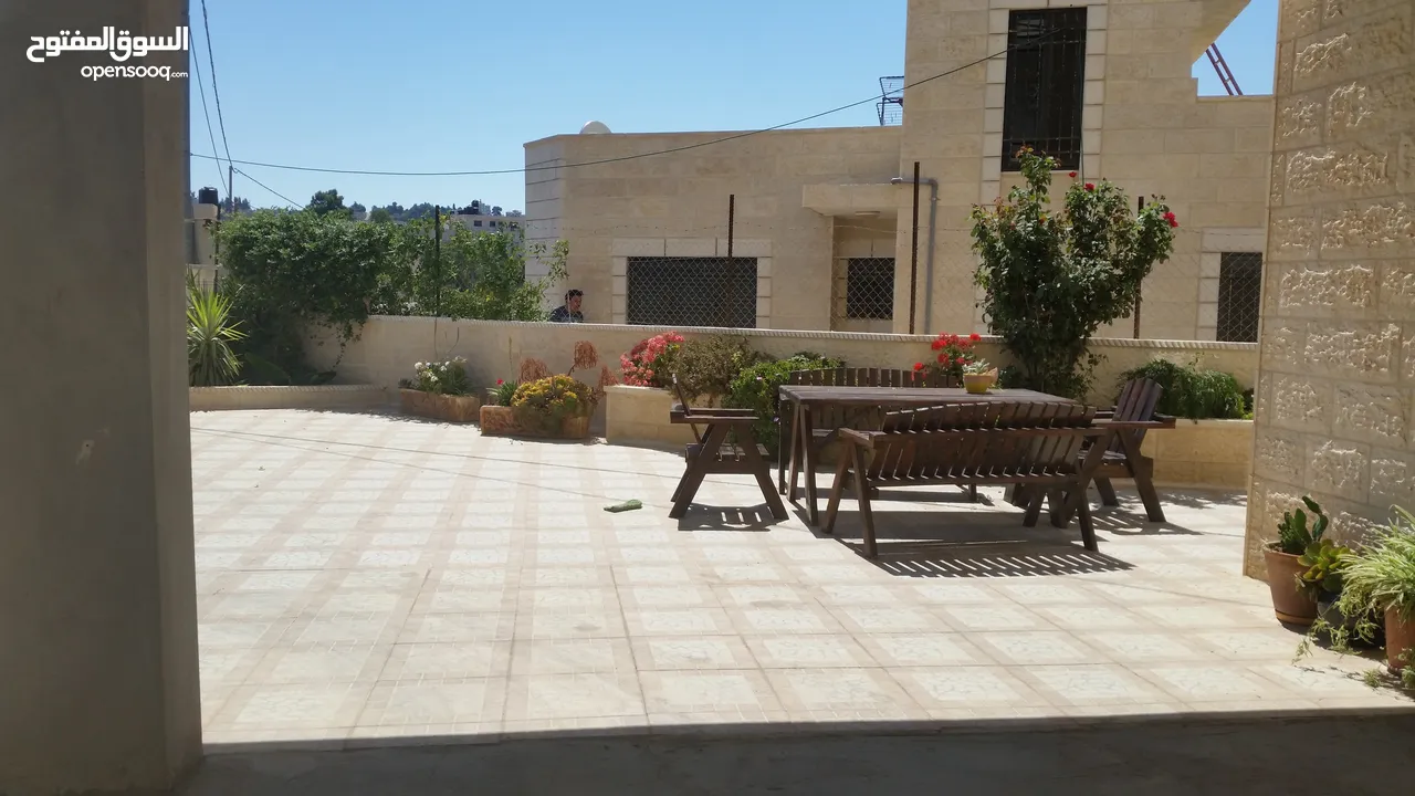 شقة للايجار