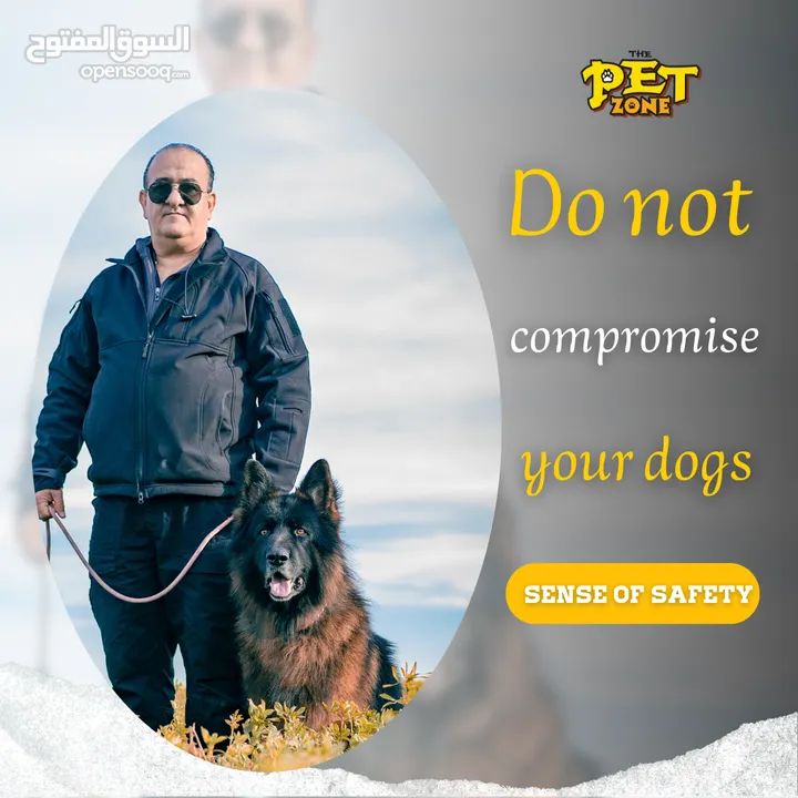 do not compromise your dogs sense of safety