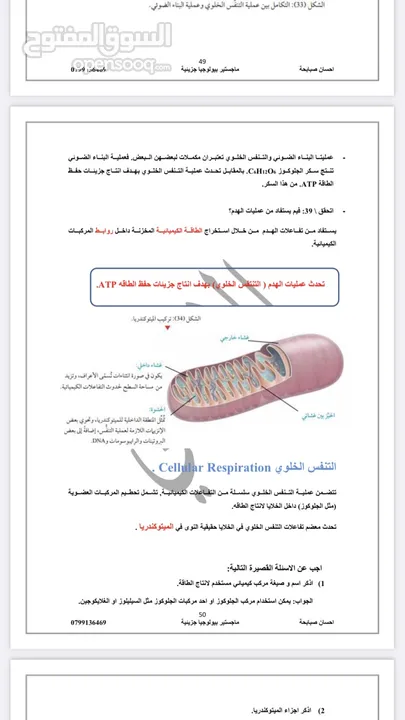 مدرس علوم حياتيه مرحله ثانويه