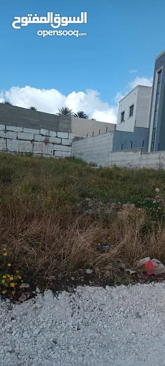 قطعة ارض مربعة في قوصين